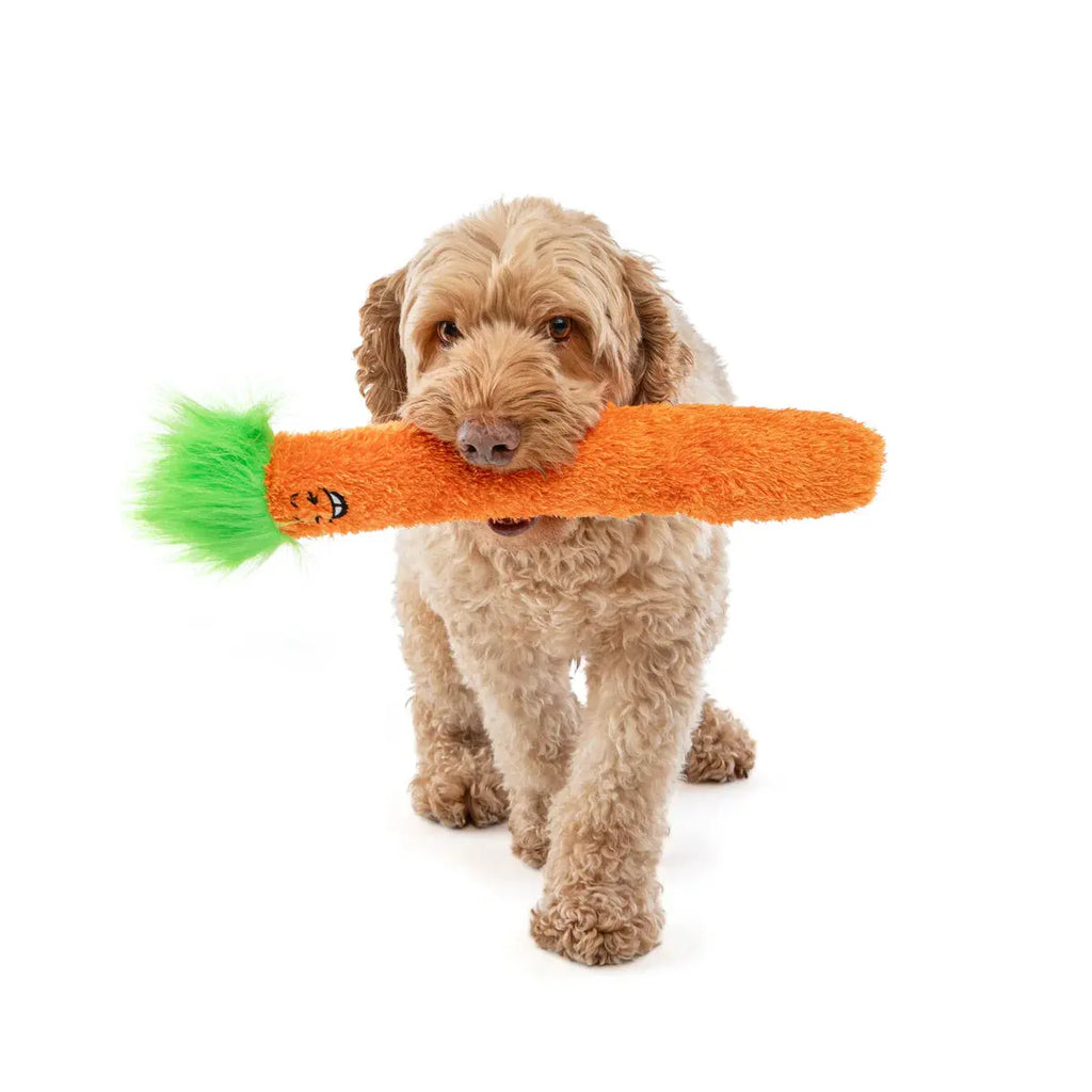 Guru - Fry Guys - Jouets pour chien Guru