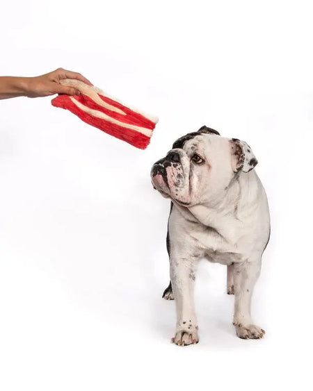 Foodies - Bacon toutou jouet pour chien FabDog