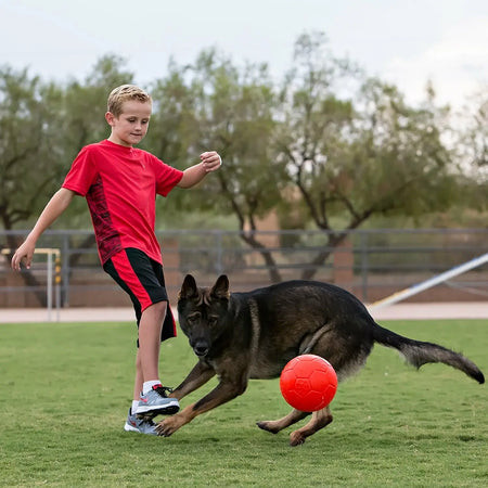 Jolly Pet - Ballon de Soccer pour chien Jolly Pet