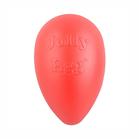 Jolly Pets - Jolly Egg 8" balle en forme d'oeuf pour chien Jolly Pet