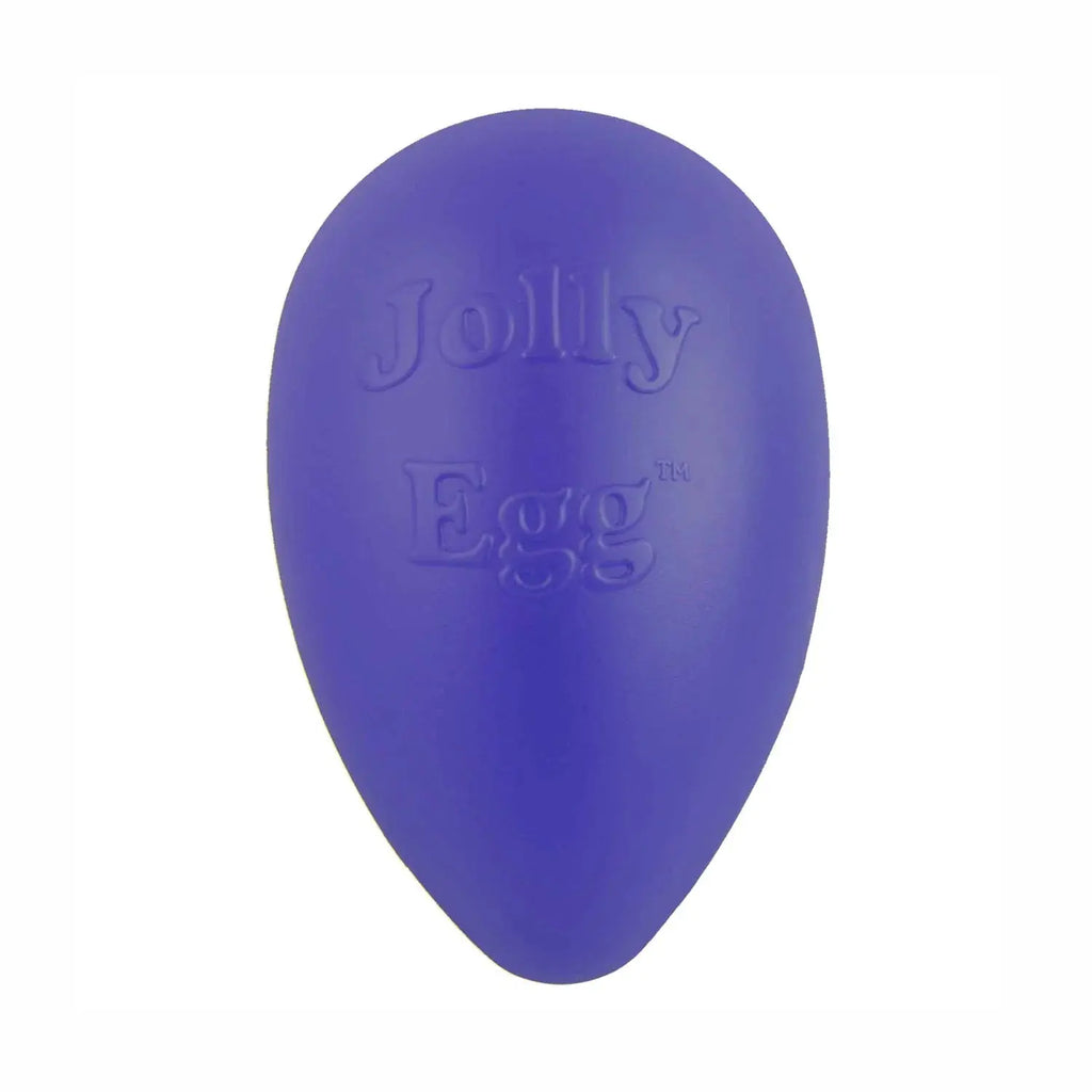 Jolly Pets - Jolly Egg balle en forme d'oeuf Large pour chien Jolly Pet