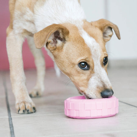 KONG - Puppy Tire - Variétés de Grandeur KONG ™