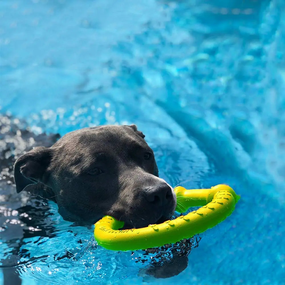 LaRoo - Anneau Durable jouet tug pour chien LaRoo