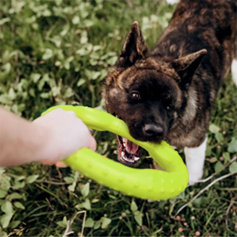 LaRoo - Anneau Durable jouet tug pour chien LaRoo