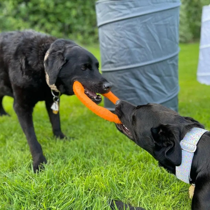 LaRoo - Anneau Durable jouet tug pour chien LaRoo