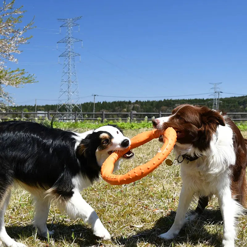 LaRoo - Anneau Durable jouet tug pour chien LaRoo