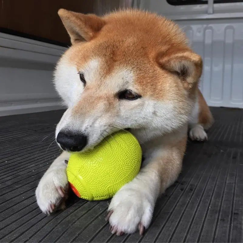 LaRoo - Balle Rugby en Caoutchouc pour chien LaRoo