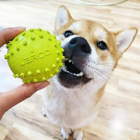 LaRoo - Balle Softball en Caoutchouc pour chien LaRoo