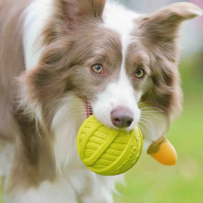 LaRoo - Balle Walnut en Caoutchouc pour chien LaRoo