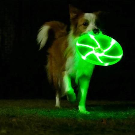 LaRoo - Frisbee LED pour Chien LaRoo