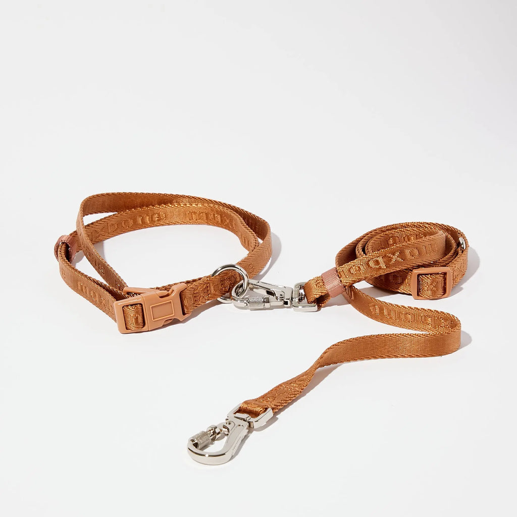 Laisse-ceinture mains libres Camel - Livora-Woouf 2.0