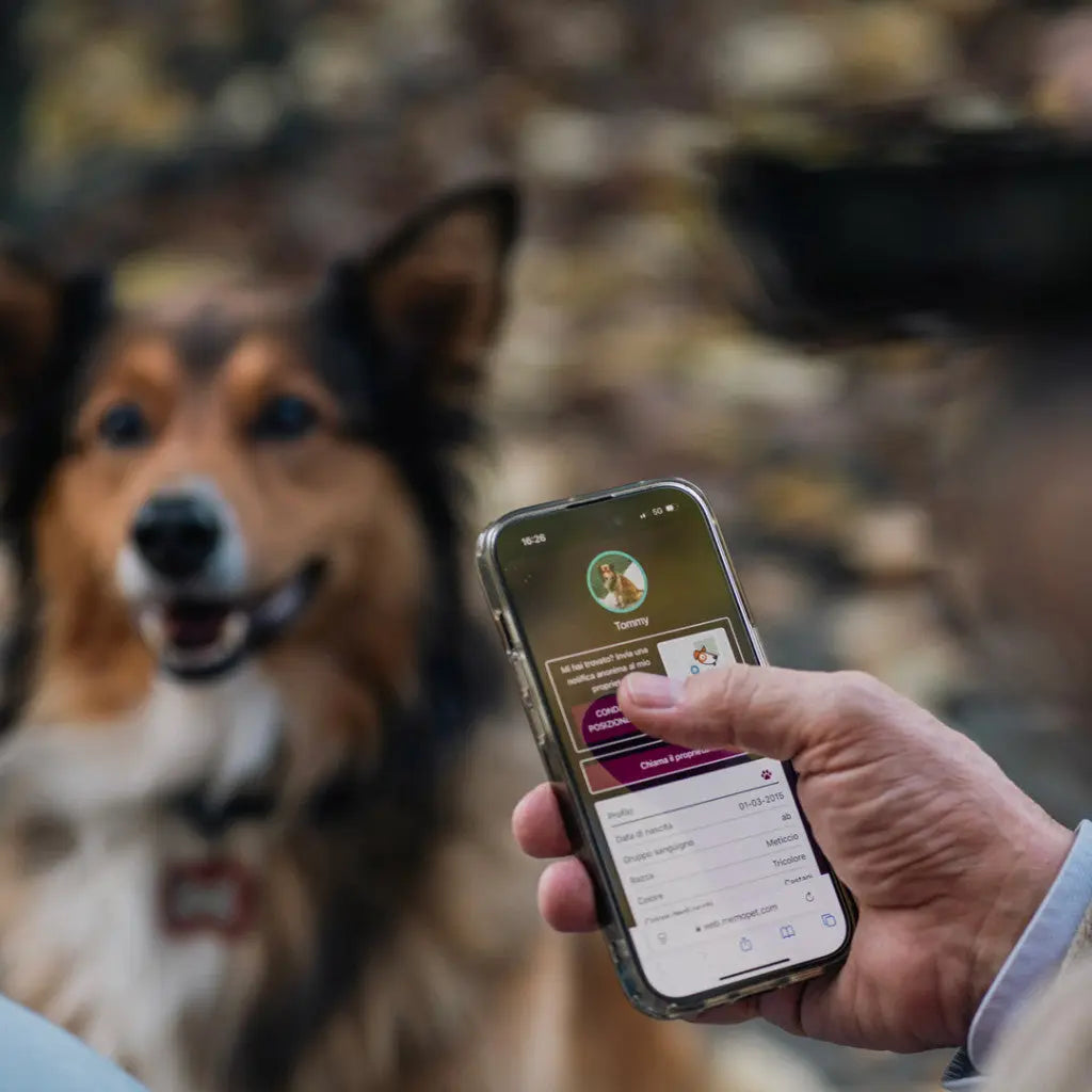 My Family - Médaillons avec Code QR pour chien My Family