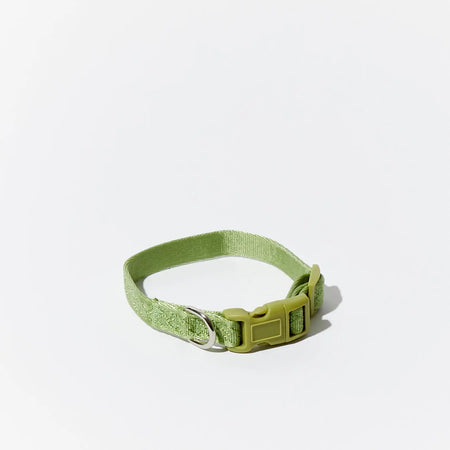 Collier daily Matcha - Livora-Woouf 2.0