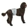 Pooch Pants - Male Wrap Pooch