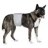 Pooch Pants - Male Wrap Pooch