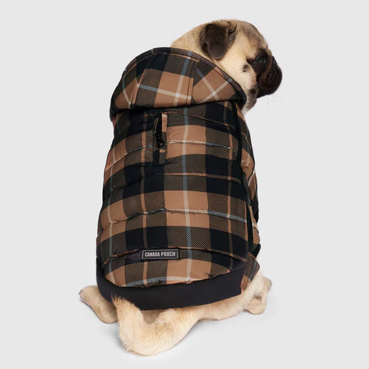 Canada Pooch - Prism Puffer