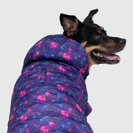 Canada Pooch - Prism Puffer