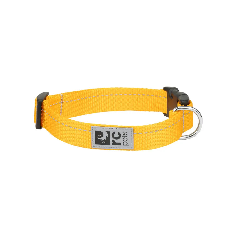 RC - Collier Clip Primary 1 RC Pet