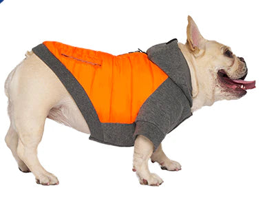 Canada Pooch - Sweat à Capuche Hybride pour chien Jacket - Charcoal/Orange