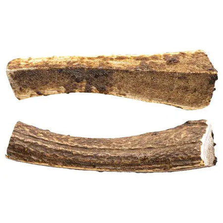 This & That - Antler Chews mastication en bois pour Chien This & That Canine