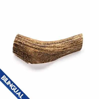 This & That - Antler Chews mastication en bois pour Chien This & That Canine