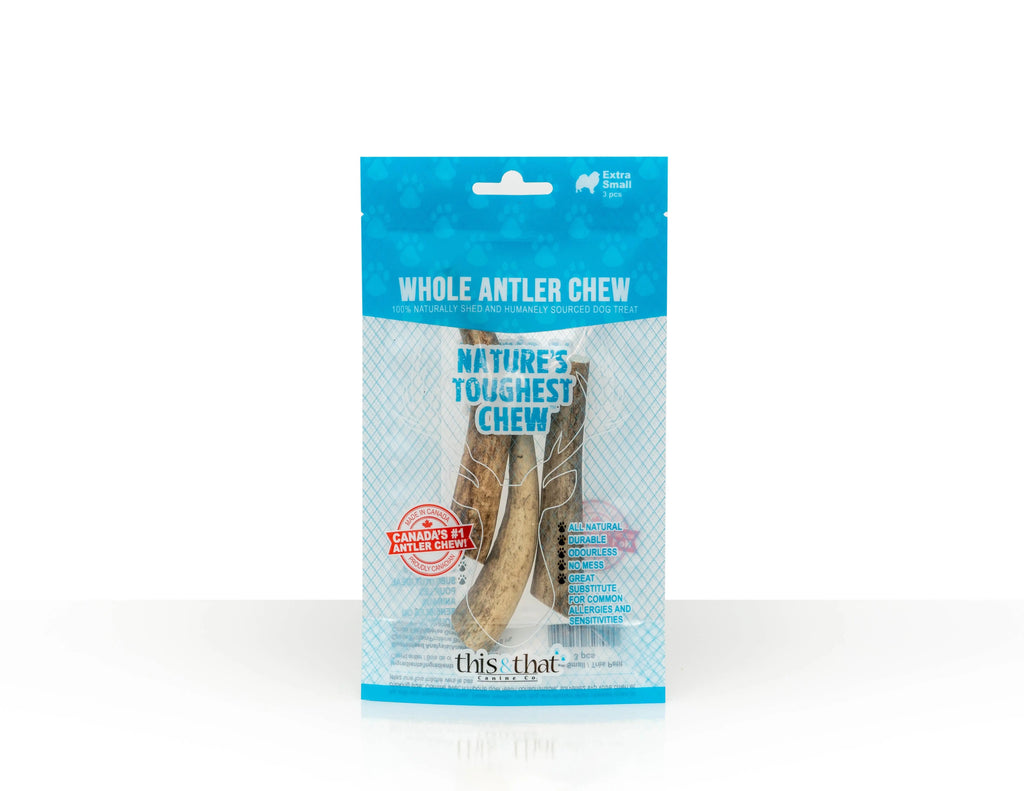 This & That - Antler mastication en bois de cerf pour Chien This & That Canine