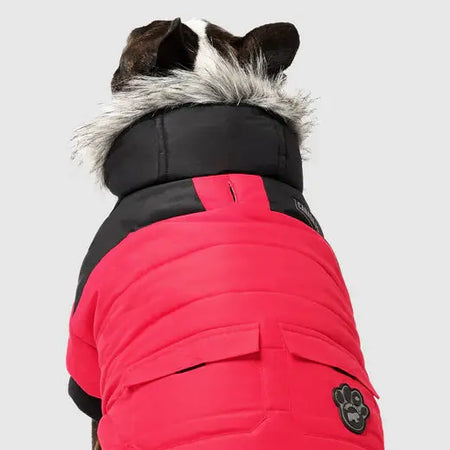 Canada Pooch True North Parka - Rouge - 18 Canada Pooch