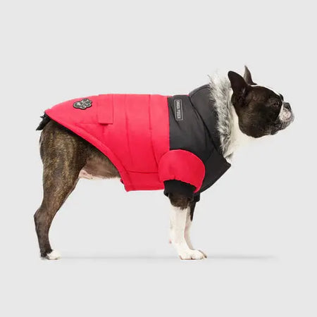 Canada Pooch True North Parka - Rouge - 18 Canada Pooch