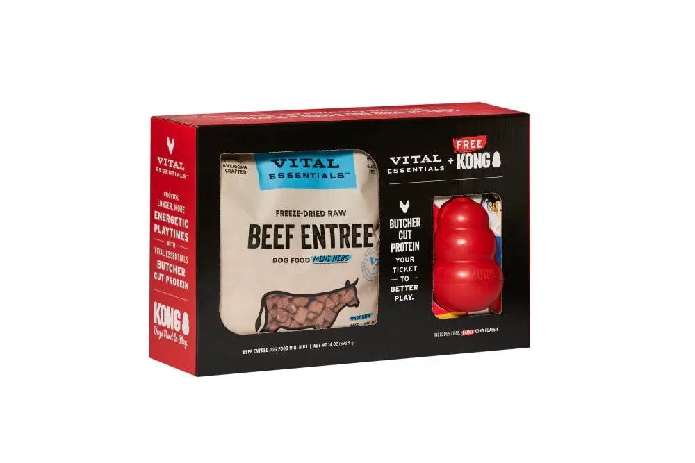 Vital Essential + Kong - Mini Nibs 14oz avec un Kong Classique Vital Essentials