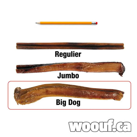 Vrac Nature's Own - BIG DOG Bully Stick 12'' Nature's Own Dog Chew