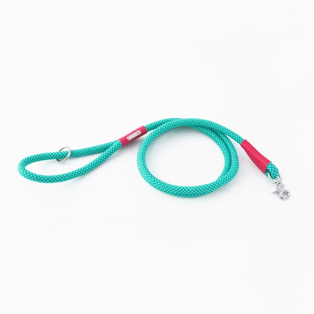 ZippyPaws Mod Essential Leash – laisse pour chien Zippy Paws