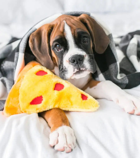 ZippyPaws NomNomz – Pizza Slice toutou jouet pour chien Zippy Paws