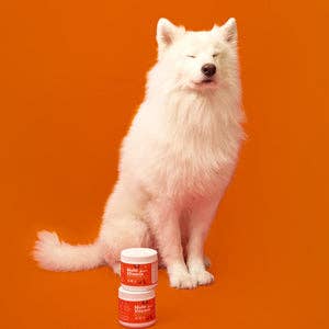 PetPal - Gâteries molles à mâcher multivitamines pour chiens - Complément pour animaux de compagnie