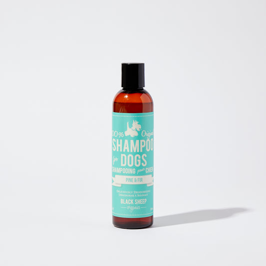 Pine & Fir Deodorizing Shampoo