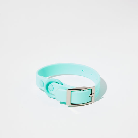 Turquoise Waterproof Collar