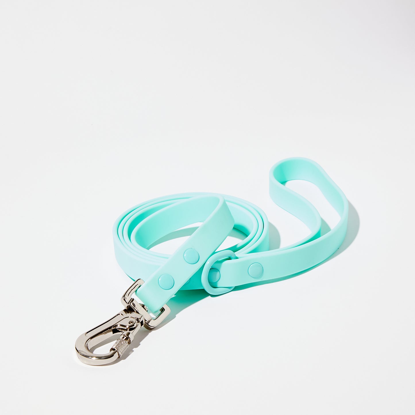 Turquoise Waterproof Leash